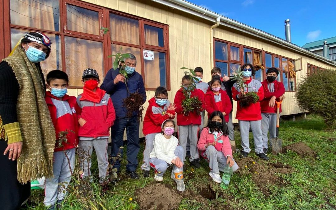 PLANTACIÓN DE ÁRBOLES CON TALLER MEDIOAMBIENTAL