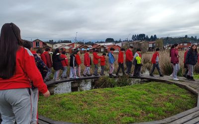 CLASE AL AIRE LIBRE 6° BÁSICO