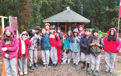 6° BÁSICO CONOCE PARQUE ALERCE ANDINO