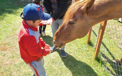 PÁRVULOS VISITAN GRANJA EDUCATIVA