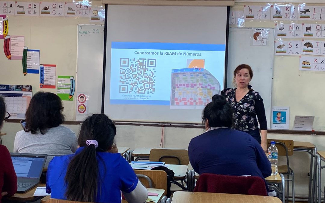 PROGRAMA ACOMPAÑAMIENTO A DOCENTES