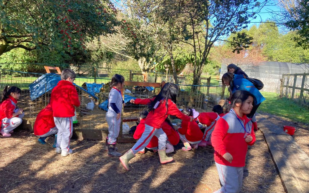 1°A VISITA GRANJA EDUCATIVA