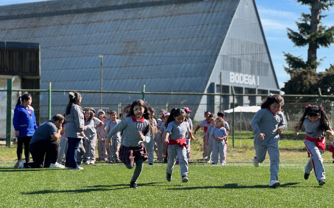 DÍA MUNDIAL DE LA ACTIVIDAD FÍSICA